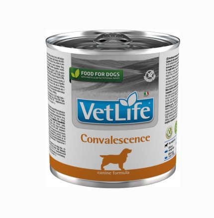 Farmina Vet Life Convalescence Wet Food Dog 300g