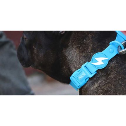 Dashi Περιλαίμιο Σκύλου Colorflex Blue Medium 2×35-54cm