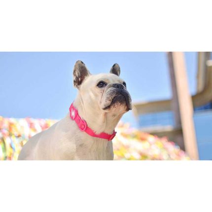 Dashi Περιλαίμιο Σκύλου Colorflex Pink Large 2.5×46-72cm