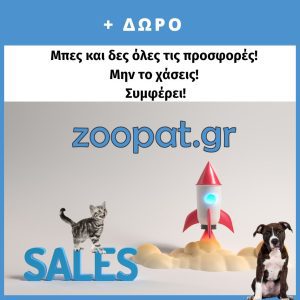 zoopat-deals-homepage