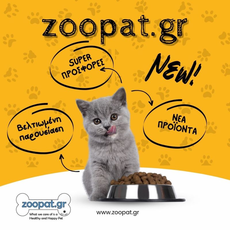 zoopat-opening-banner-cat