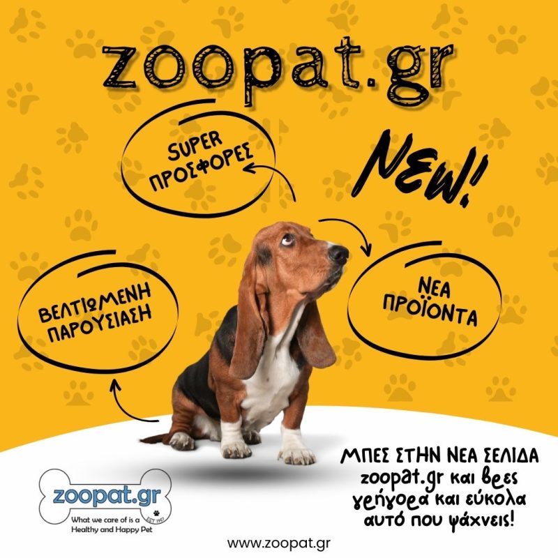 zoopat-opening-banner-dog